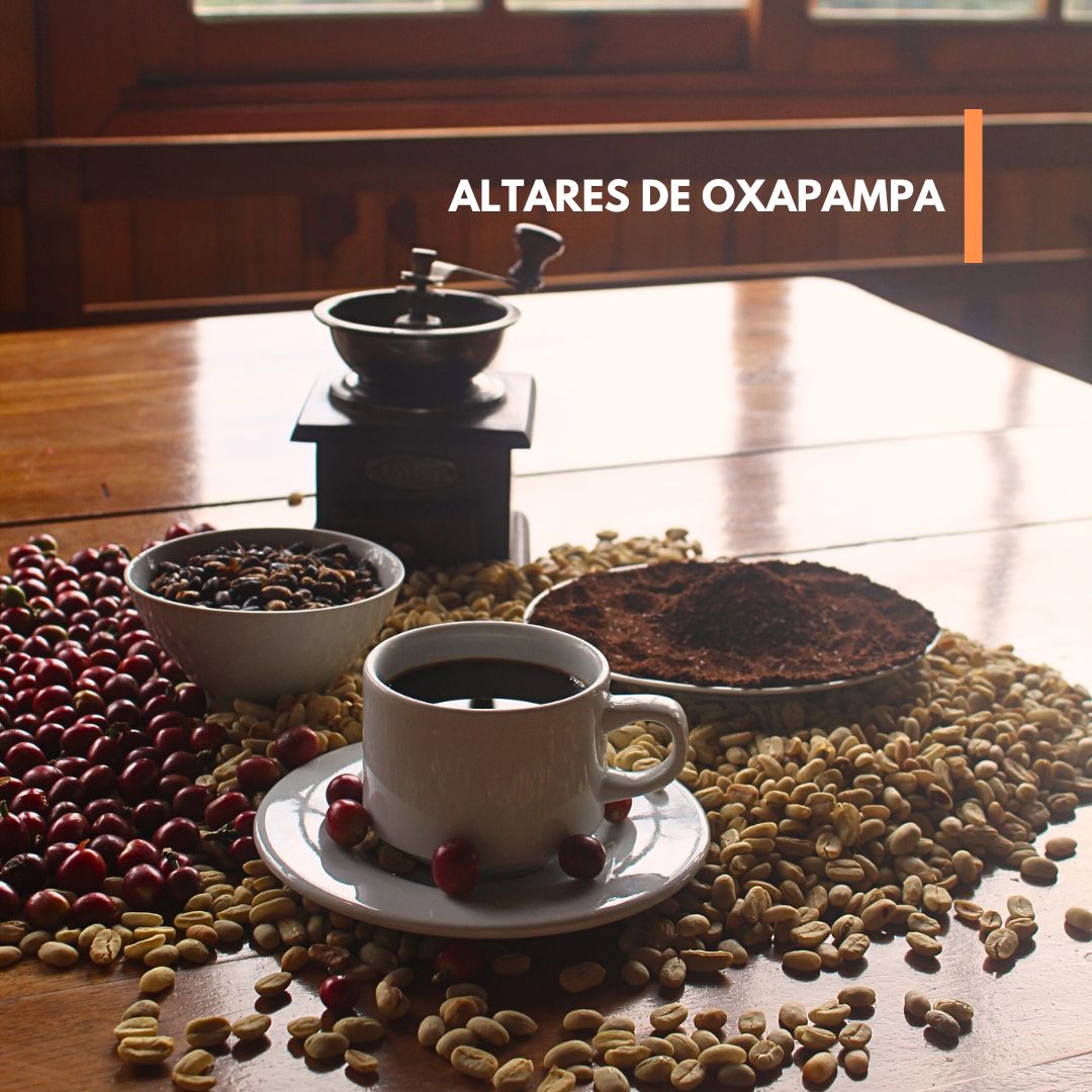 El aroma de Oxapampa – Descubriendo secretos del café
